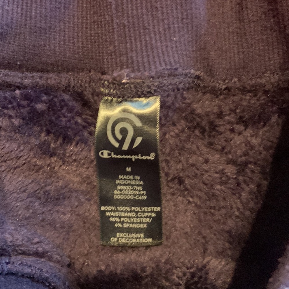Champion‎ purple jogging/sweat pants girls size medium - Picture 5 of 5